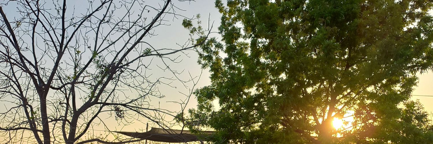 DaniMaxemin's profile banner image