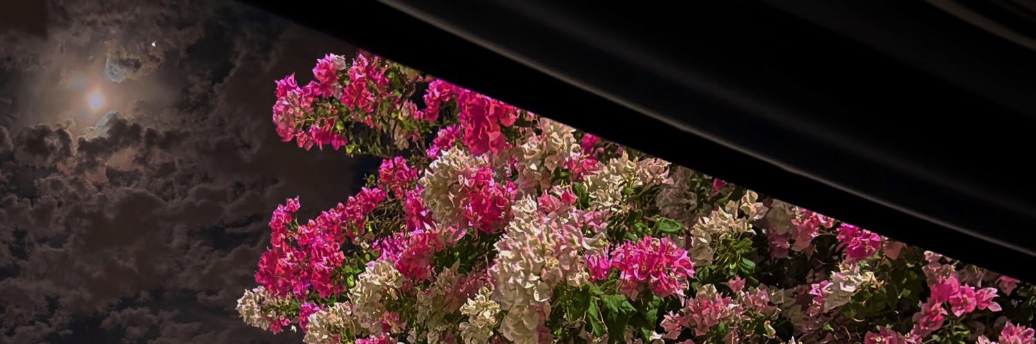 Aisha_49's profile banner image