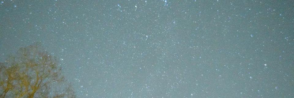 MichaelBergman0's profile banner image