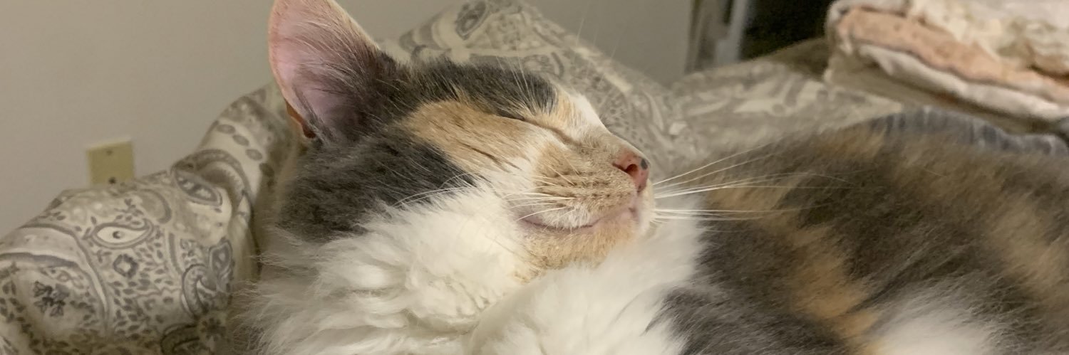DanielleGarrod's profile banner image