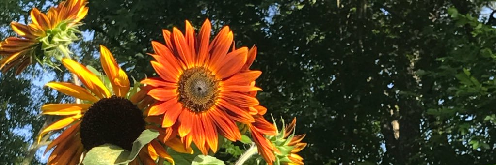Onpoint1913's profile banner image