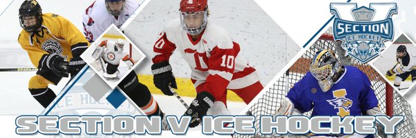 SectionVHockey Profile Banner
