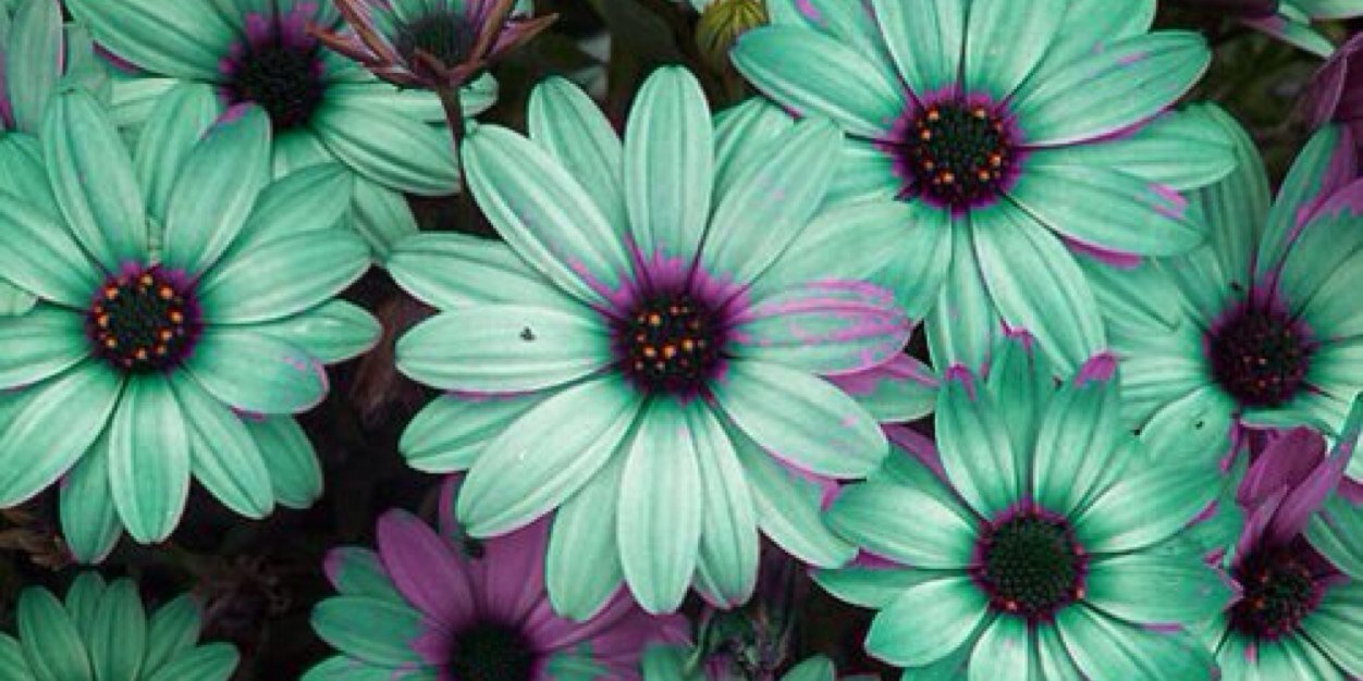 Emma_bee12's profile banner image