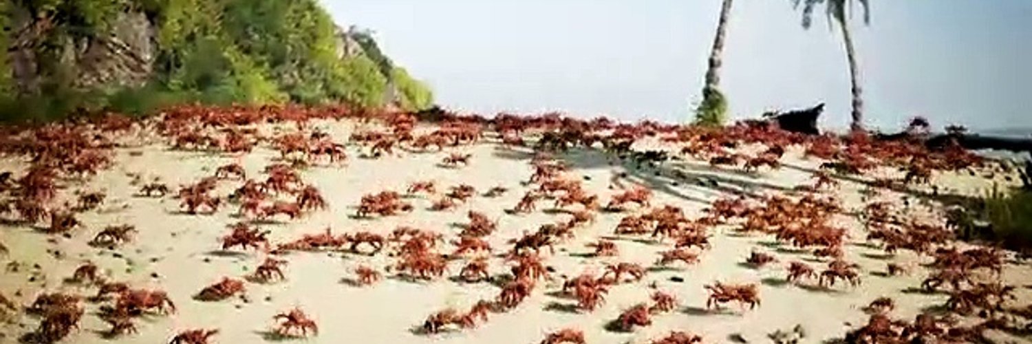 TheMorningCrab's profile banner image