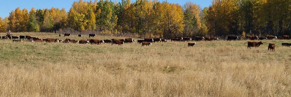 anixdorff Profile Banner