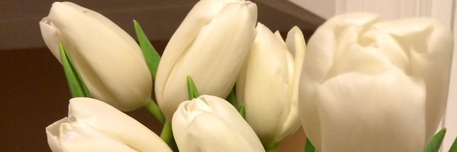 live_love_PLL's profile banner image