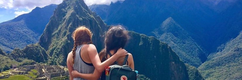 AliceFalks's profile banner image