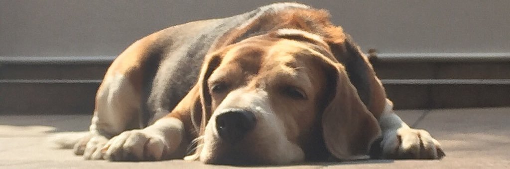 samsjh_'s profile banner image