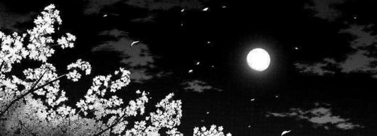 excusemeo1's profile banner image