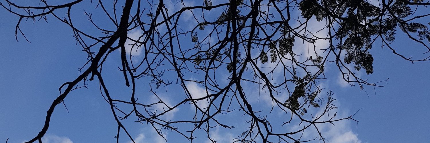 Iduitsolo's profile banner image