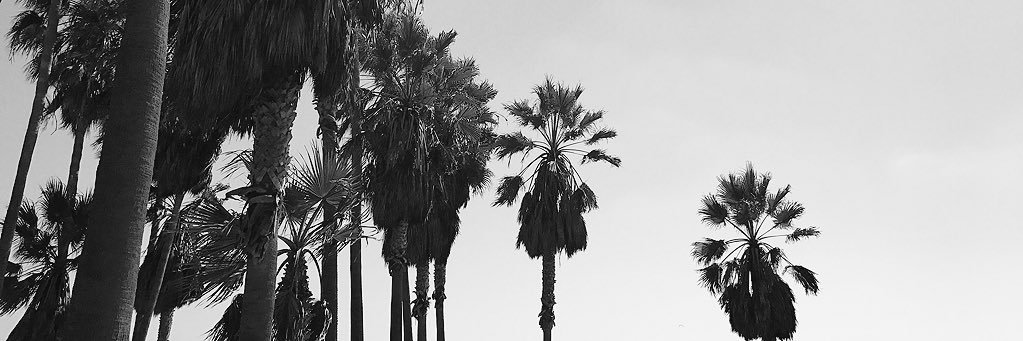 thrustingdolans's profile banner image