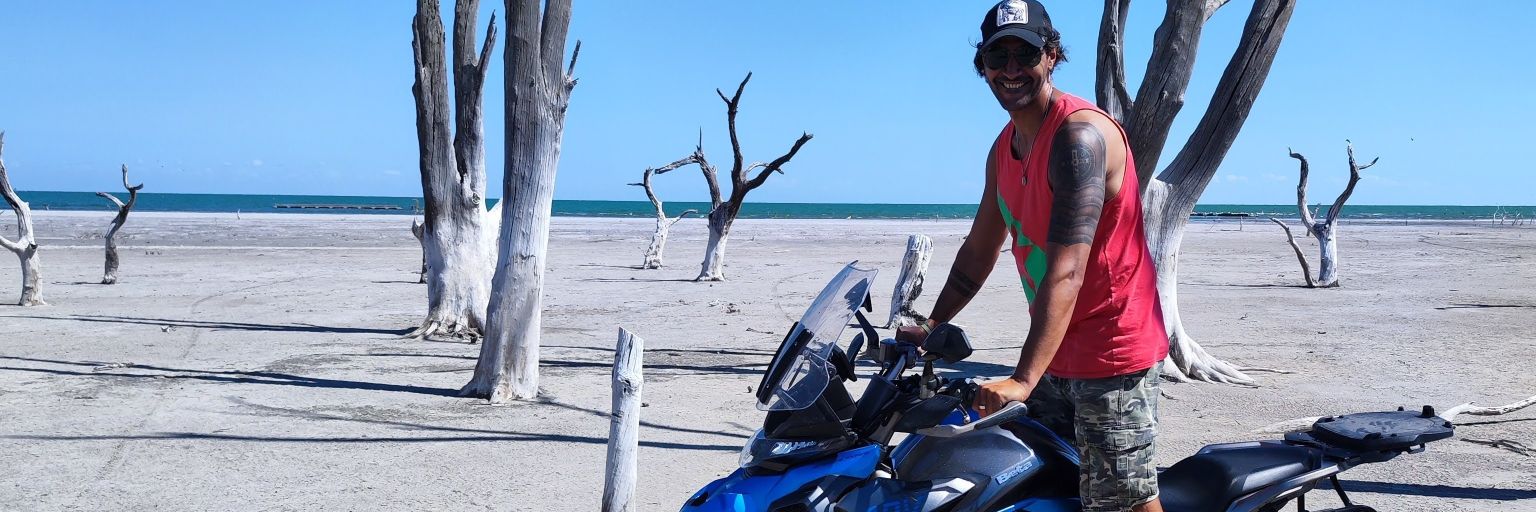 German 🇺🇦 banner