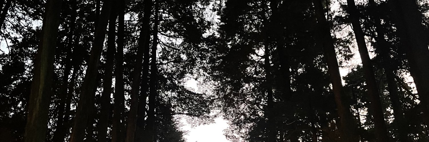 aketzii's profile banner image