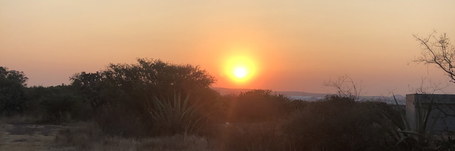 Free Palestina…con Hamas 🤣🤣 banner