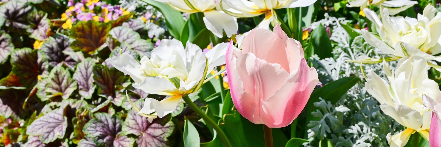hatttey's profile banner image