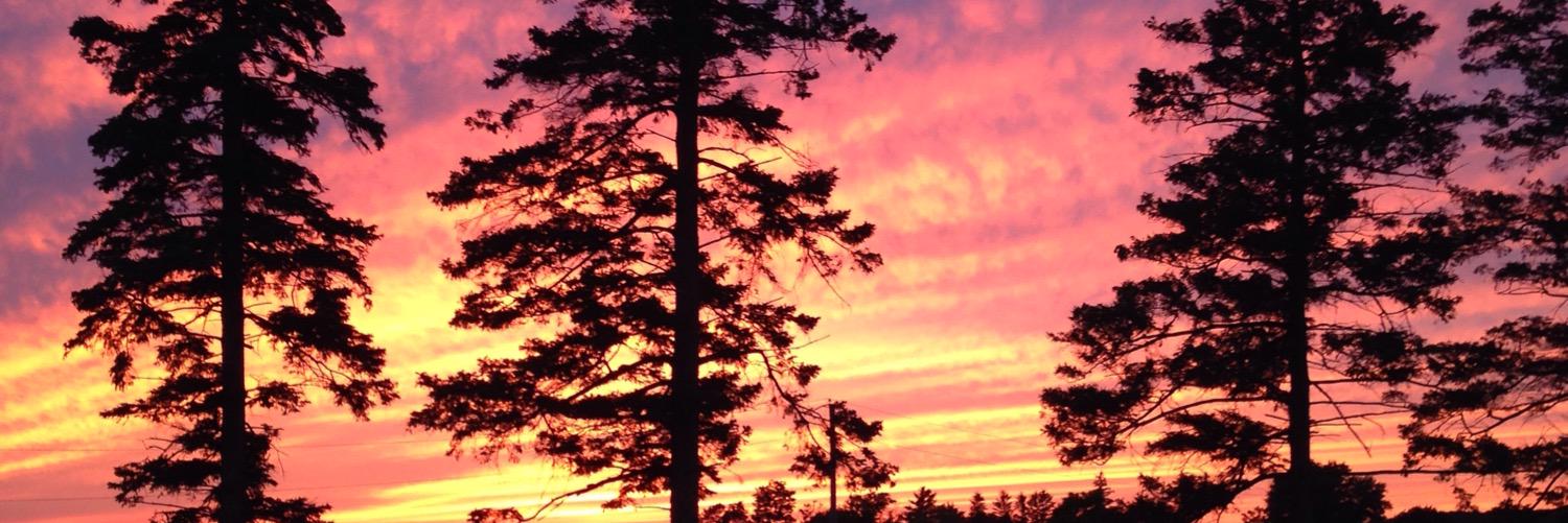lisarowebrown's profile banner image