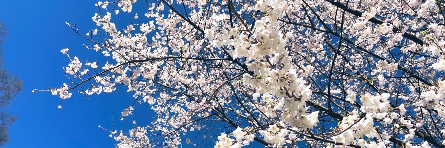 naru_mini's profile banner image