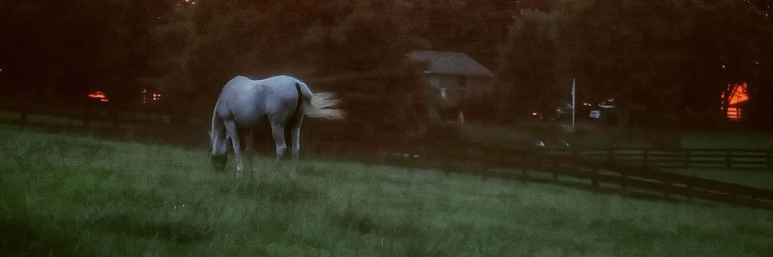MindyMaxey's profile banner image