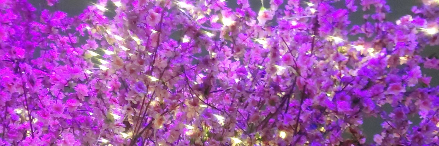 AndreaMerino6's profile banner image