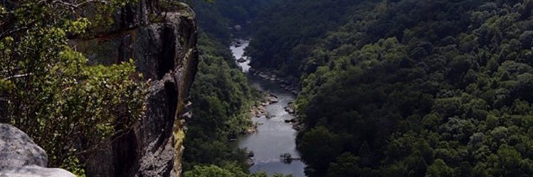 Tannerk_41's profile banner image