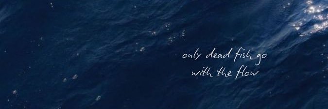 adndmeitha's profile banner image