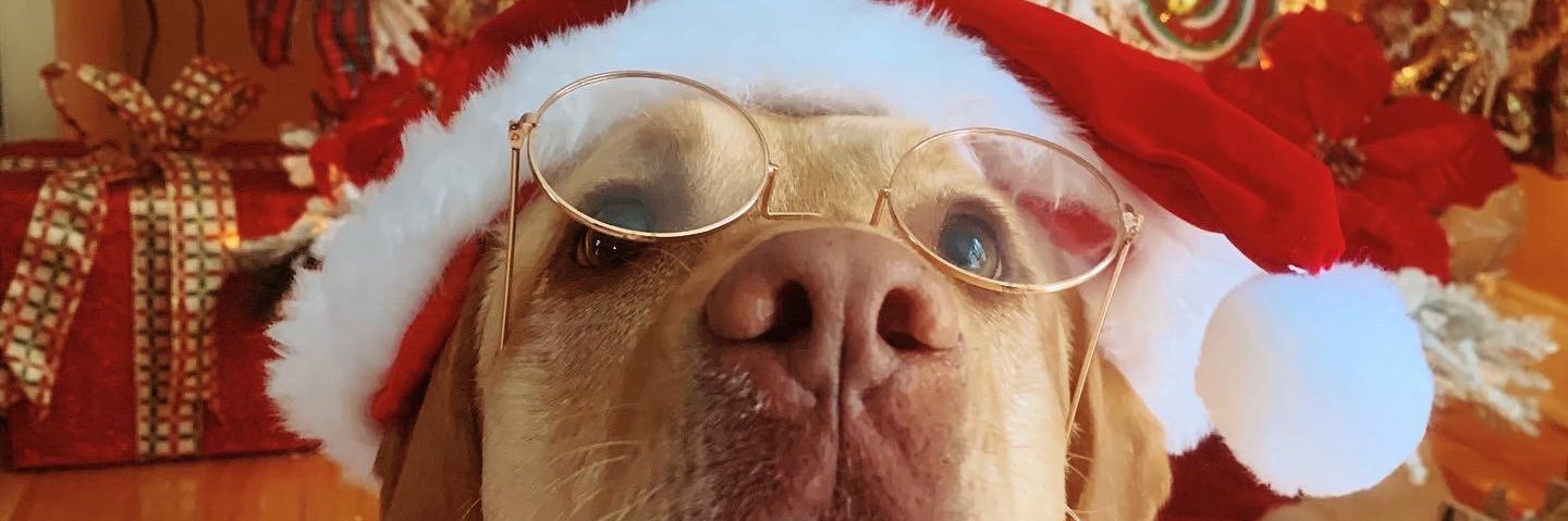 haileyjawn's profile banner image