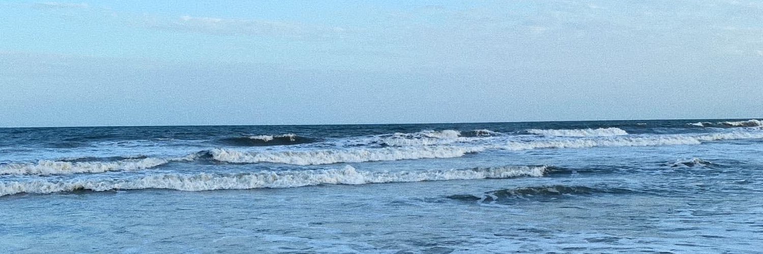 Kayla Higgins banner