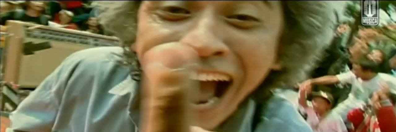 Handy Fernandy banner