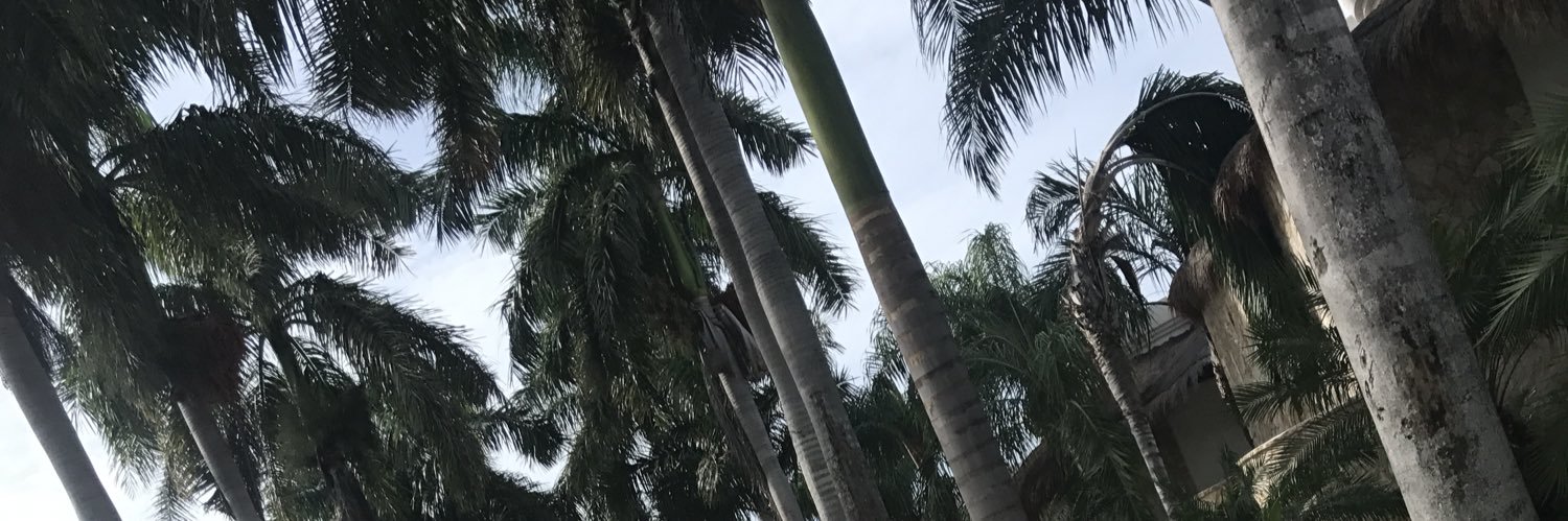 Successful_ro's profile banner image