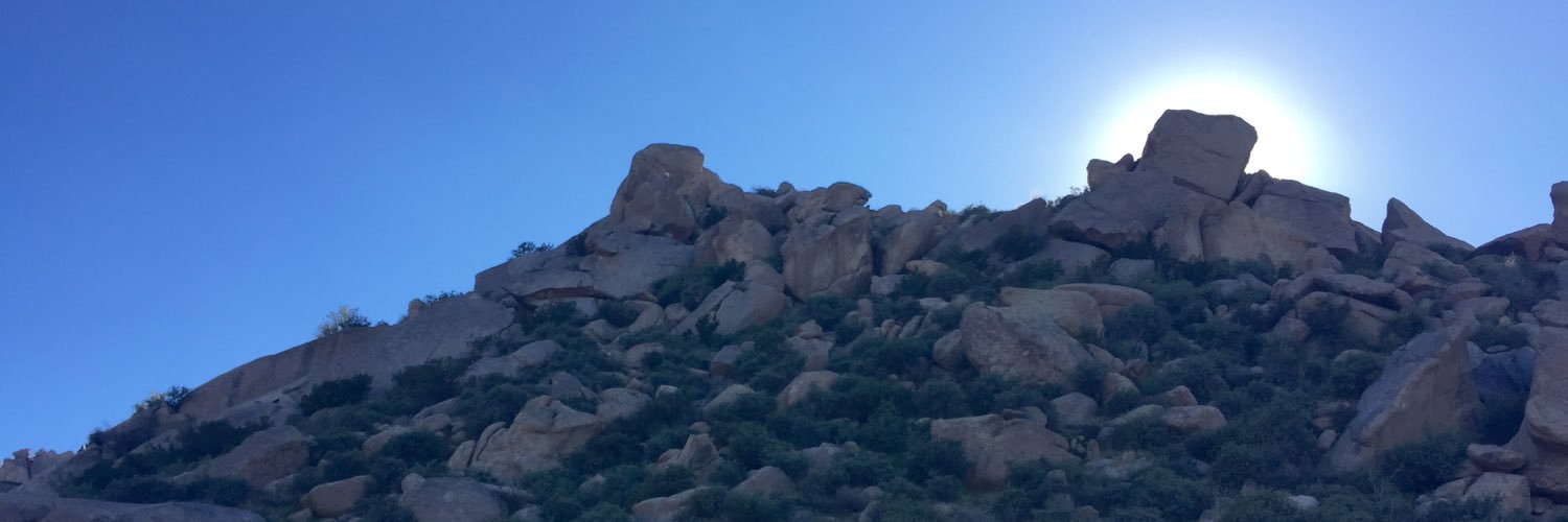 akatheblondeone's profile banner image