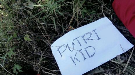 Putri adetya banner