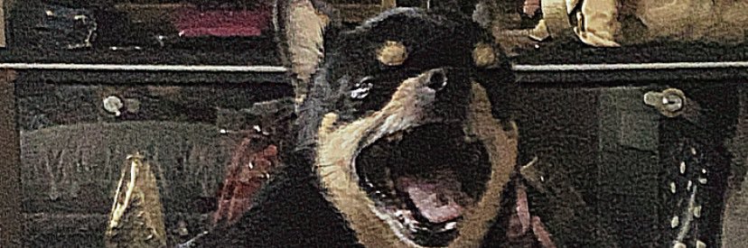 znlmnnl's profile banner image