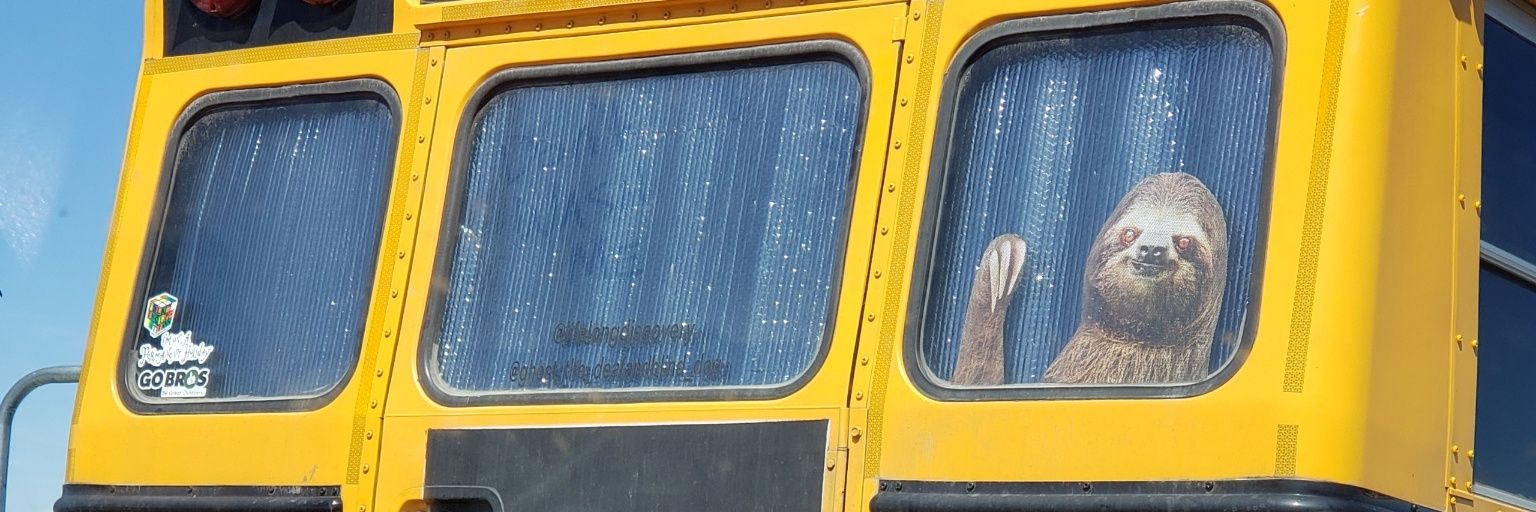 lilrumblr's profile banner image