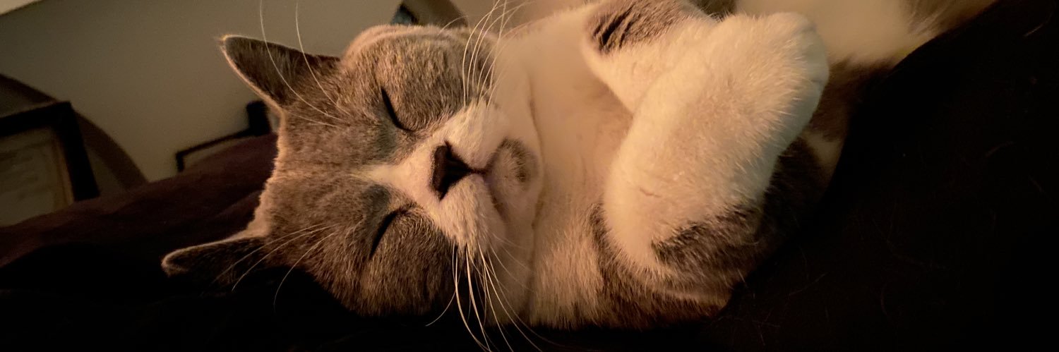 Nicoleyoleyy_'s profile banner image