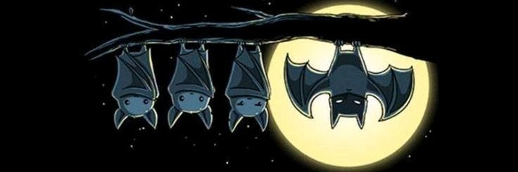 Dark Knight 🦇🏴‍☠️ banner