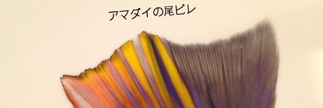 じゃんぎょはん banner