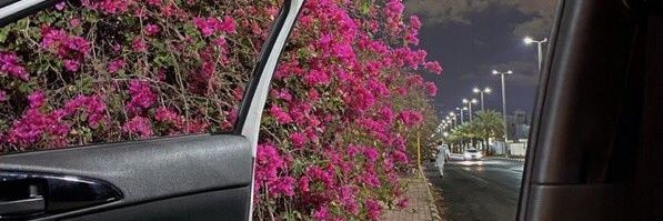 1E90091's profile banner image