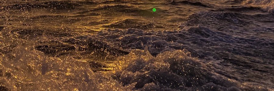 shukhalim's profile banner image