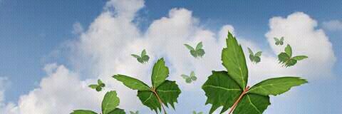 ShepherdNdou's profile banner image