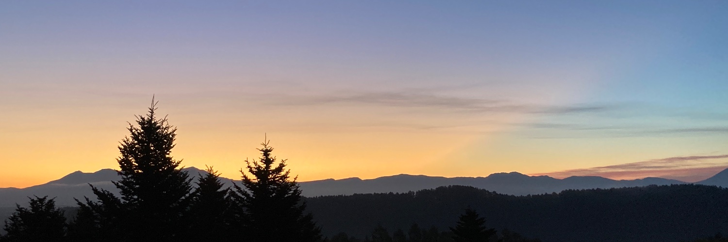 TERUMIKO ＊ ELETOY banner