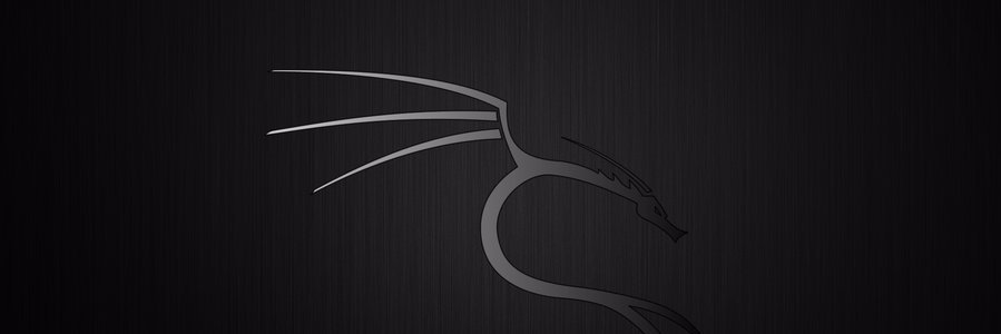 garv_sin's profile banner image