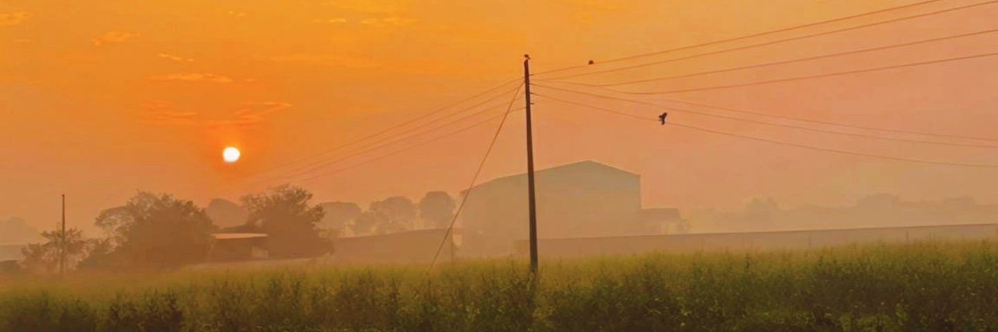 dasroopsa's profile banner image