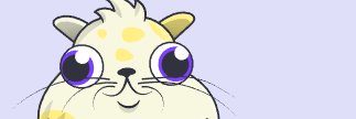 Shawnlessbeard's profile banner image