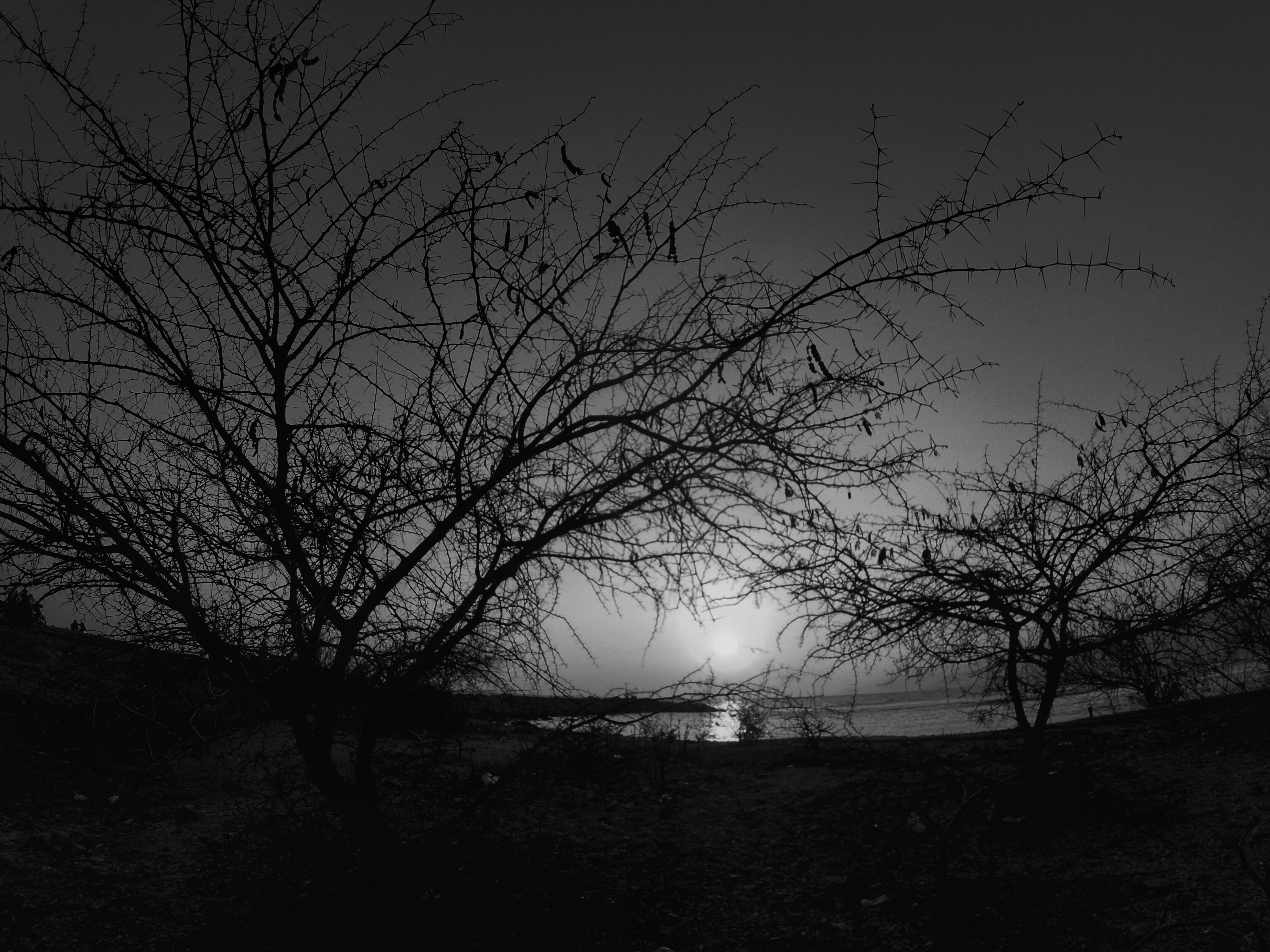 dham_tkj's profile banner image