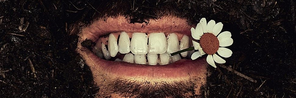DannyQuixotes's profile banner image