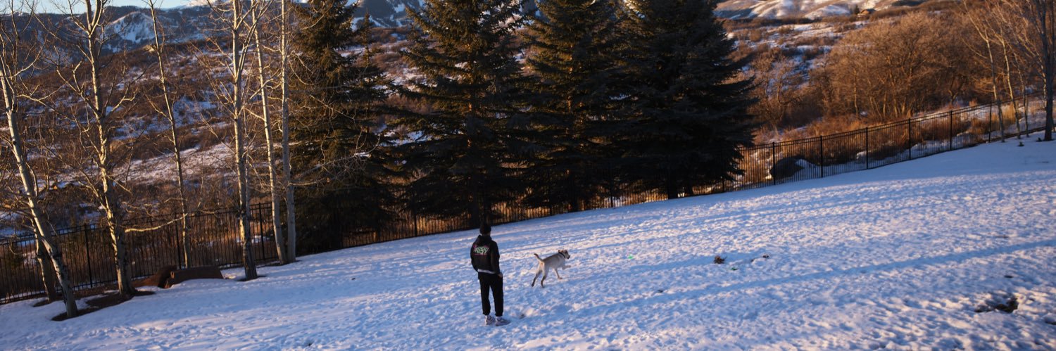 Daniel Folkman banner