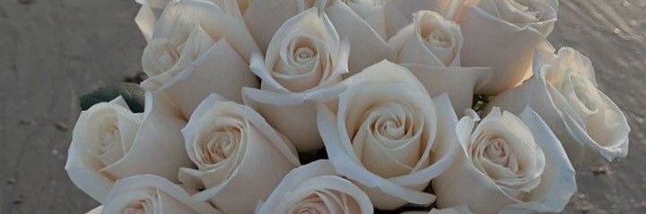 breeesabreeeze's profile banner image