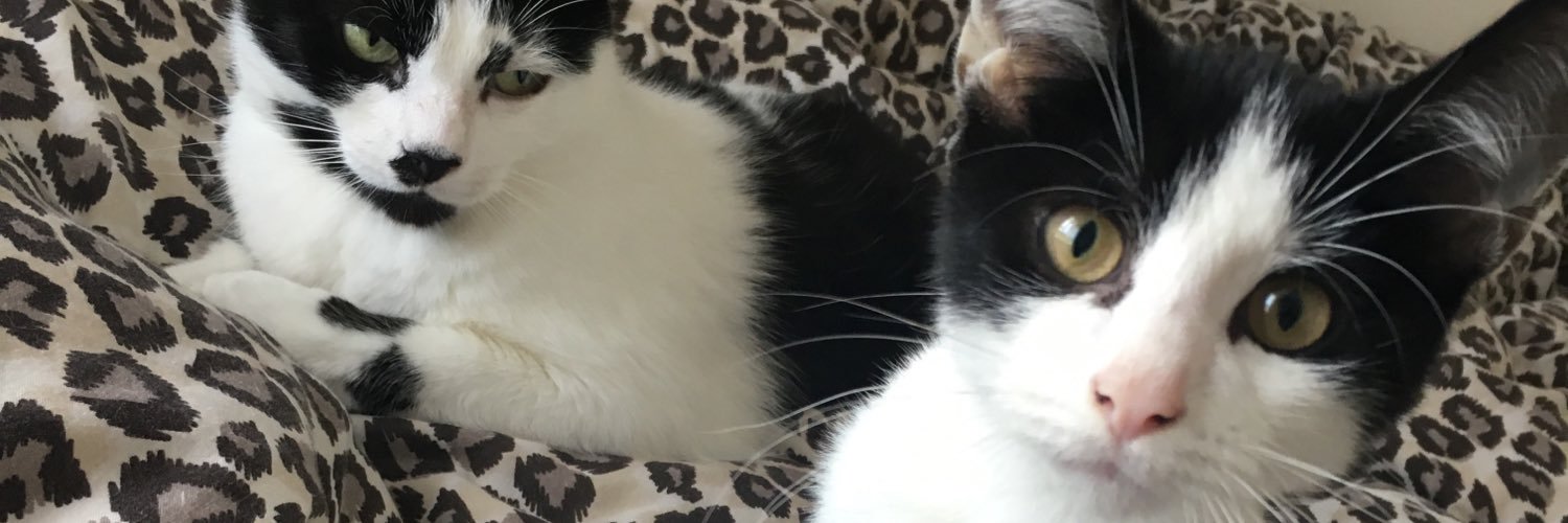 fruit_loop27's profile banner image
