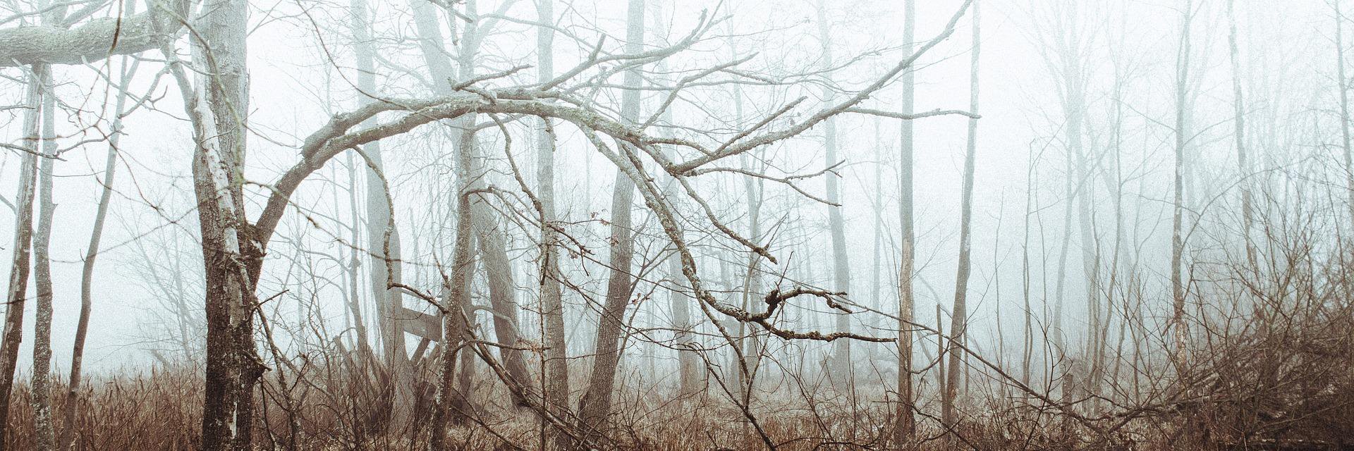 CandyRorae's profile banner image