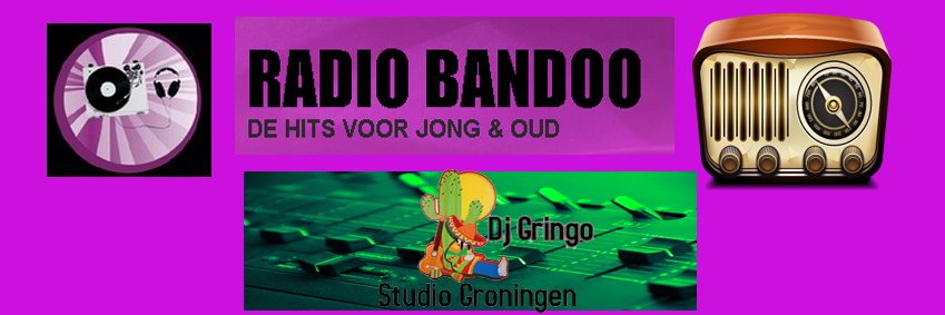 RonGringo's profile banner image